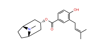 Merresectine E